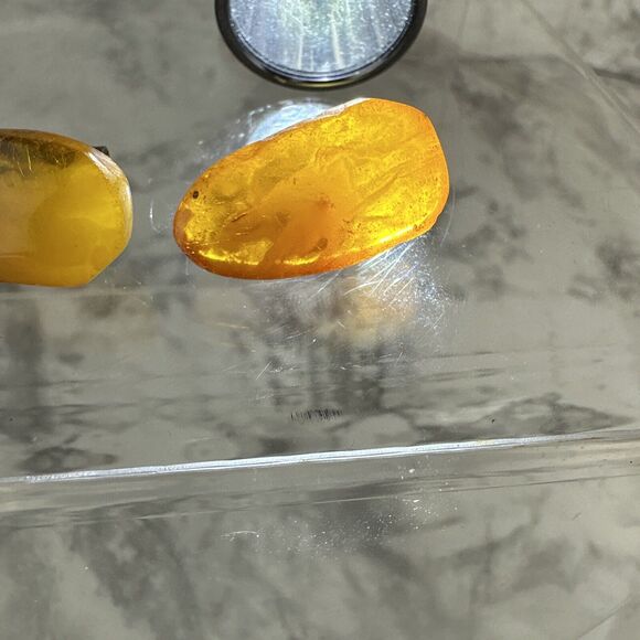 Vintage Natural Honey Baltic Amber Clip On Earrings Bead Cellulose Buttons - Picture 4 of 12